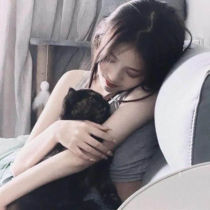 神犬小七第一季